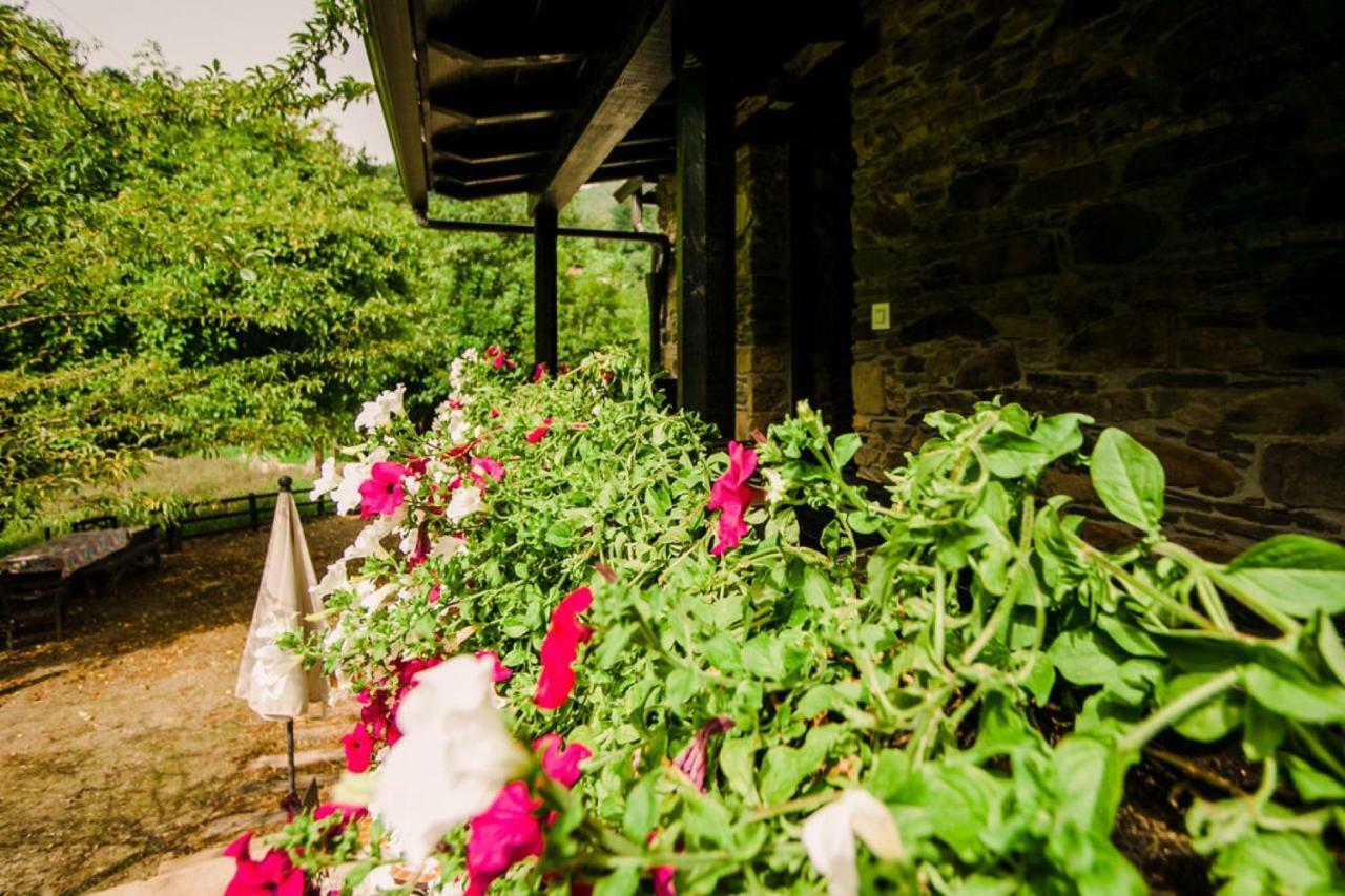 Apartamento Casa Calma Rural *